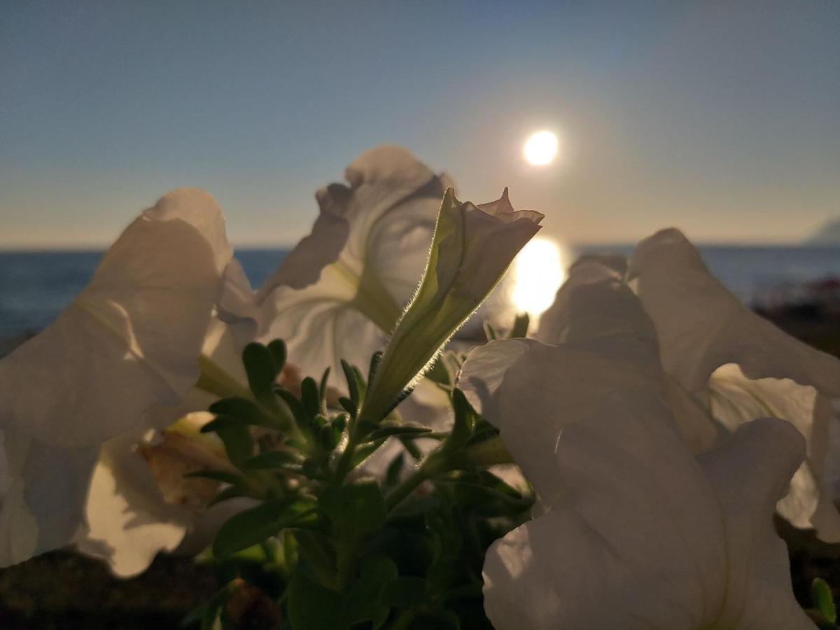 Nereides Appart hôtel Agios Gordios (Corfu)